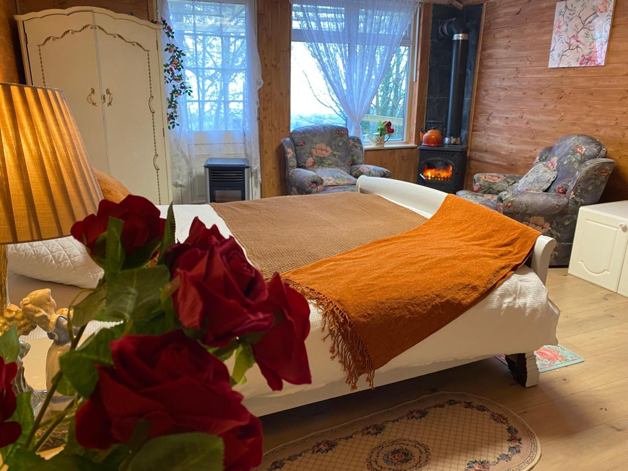 Cozy Room In A Barn With Farm View - Dublin — Photos 2